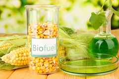 Well Place biofuel availability